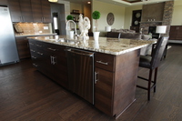 Thumb kitchen  contemporary style  quartersawn walnut  banded door  dark color  horizontal grain  full overlay