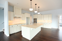 Thumb kitchen  shaker style  painted  wainscot and recessed panel  wood hood  door on the end of the island  double oven cabinet  36 high island overhang  staggered heights  full overlay